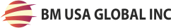 BM USA GLOBAL INC